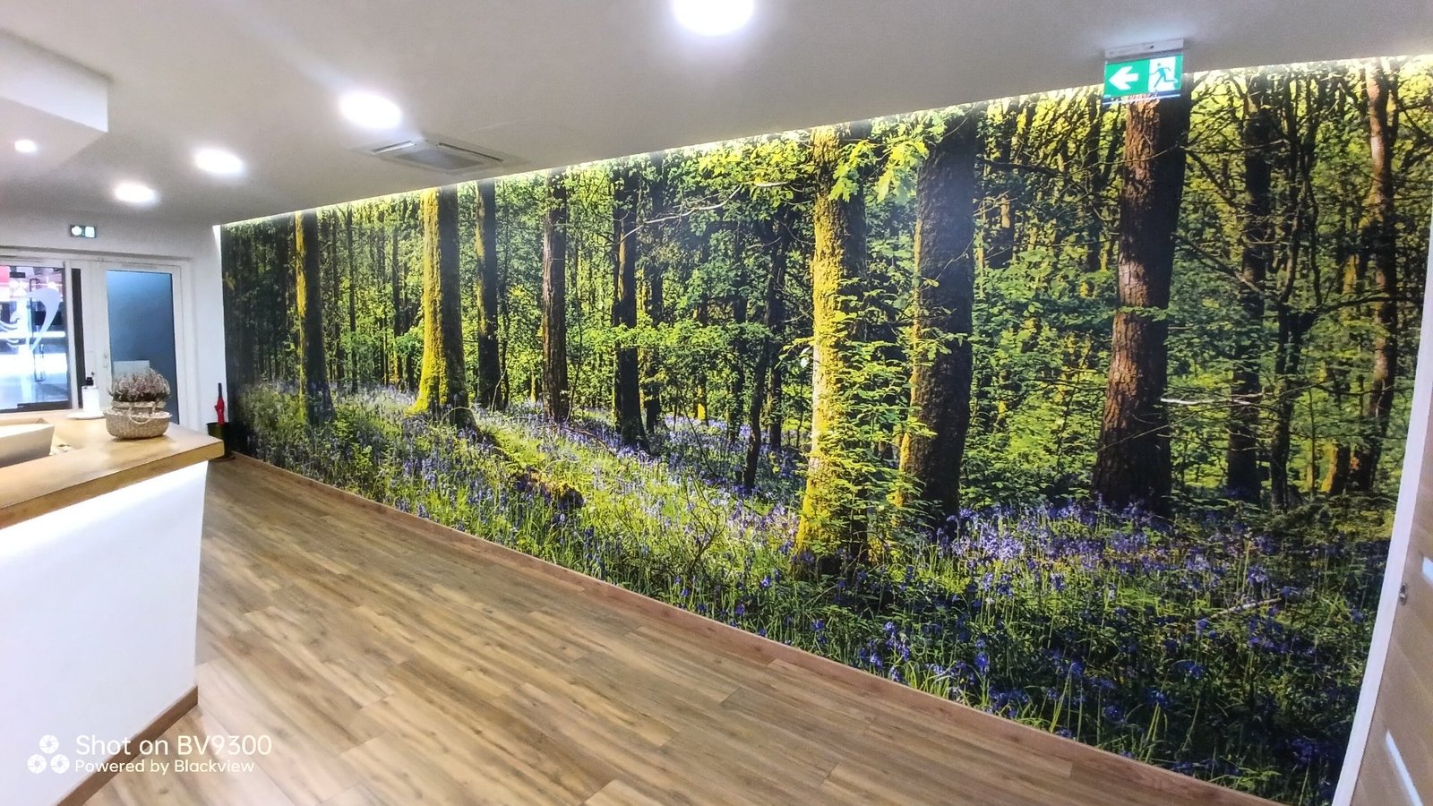 Impression grand format — murale Activity Group